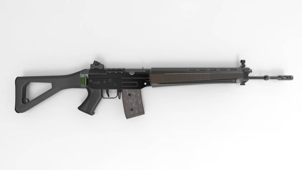 Sig SG 550